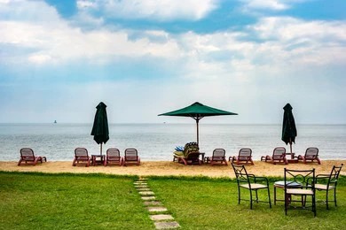 Best Guide for Choosing The Right Patterned Outdoor Umbrella for Your Patio