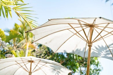 Is There A Difference between A Parasol And An Umbrella