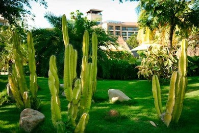 Top 10 Stylish Patio Umbrellas for Sale in 2024 - Best Deals And Reviews