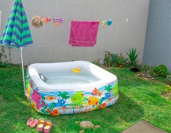 Best Tips for Umbrella Plant Outdoors Care And Maintenance