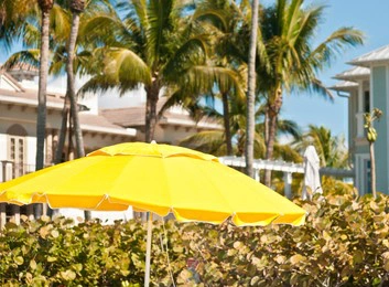 How Can You Tell The Difference between Umbrella And Parasol