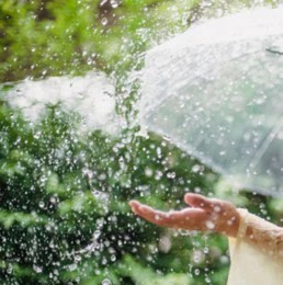 Best Giant Outdoor Umbrella Buying Guide: How To Choose And Save