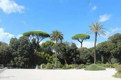 Best Outdoor Umbrella Options for Bunnings Shoppers