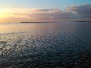 How To Choose The Best 1950s Parasol Umbrella for Your Style