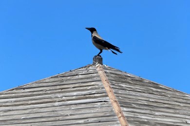 How To Spot High-Quality Garden Parasol Umbrella Fabrics