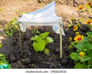 How To Make A Parasol From An Umbrella