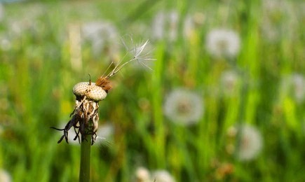 How To Sell Garden Parasol Umbrellas Online Effectively