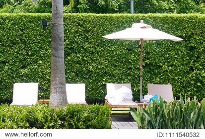 Best Buying Guide for Indian Umbrella Parasol - Price And Materials